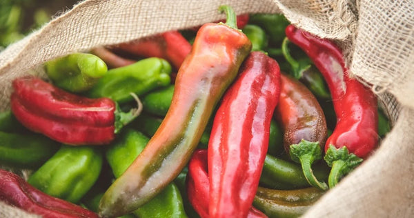 Fresh Chile Co campaign